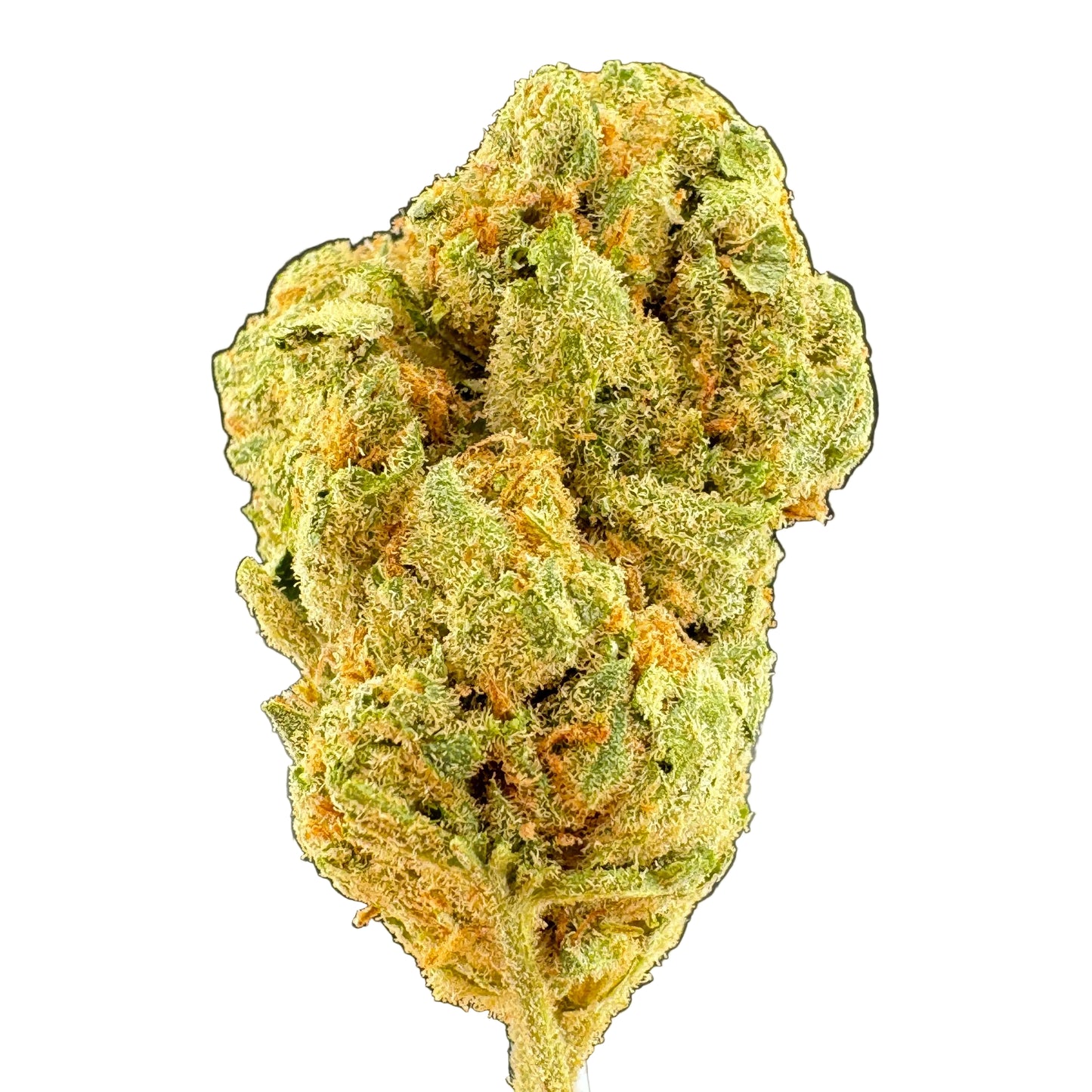 A close-up of a dried cannabis flower bud with green and orange-yellow tones, set against a dark gray gradient background.
