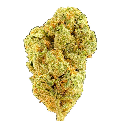 A close-up of a dried cannabis flower bud with green and orange-yellow tones, set against a dark gray gradient background.