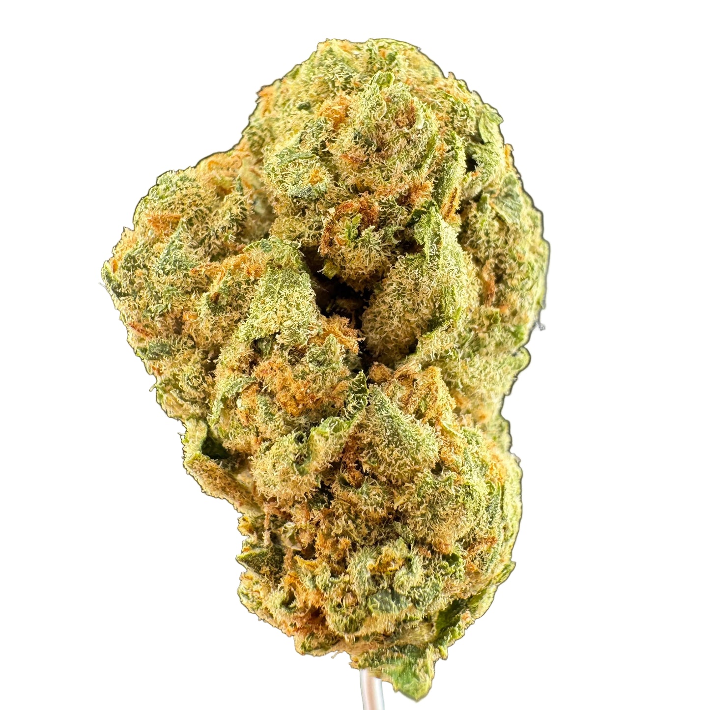 A close-up of a dried cannabis bud on a small stick, showing green and orange coloration against a dark gray background.