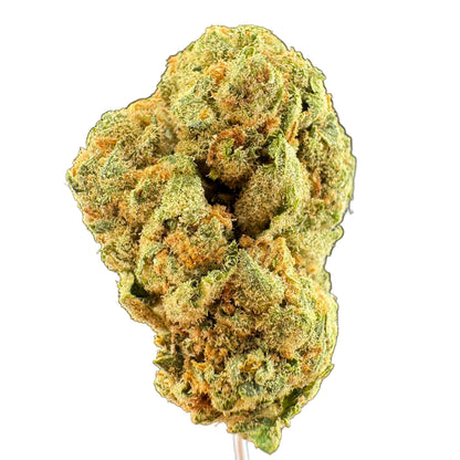 A close-up of a dried cannabis bud on a small stick, showing green and orange coloration against a dark gray background.