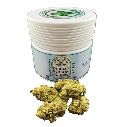 A white plastic jar labeled Carolina Hemp Cafe Durban Poison Sativa Exotic Shell Weed, shown with several green dried flower buds on a dark gray surface.
