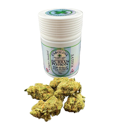 A white plastic jar labeled Carolina Hemp Cafe 'Urban Poison' stands on a dark gray surface with several green and yellow cannabis buds placed in front of it.