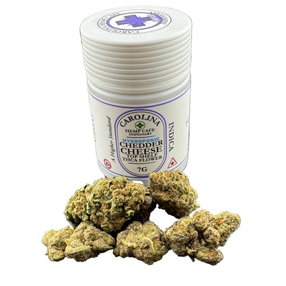 A white plastic jar labeled Carolina Hydroponic Cheddar Cheese Top Shelf Indica hemp cafe dispensary, shown with several dried green-brown flower buds in front on a dark gray background.