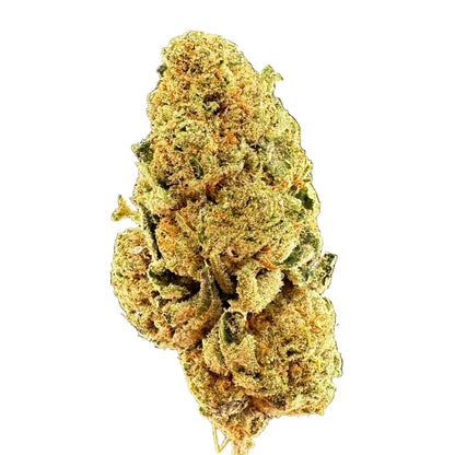 A close-up of a dried cannabis bud with dense trichome coverage in shades of green, yellow, and orange, set against a dark gray gradient background.