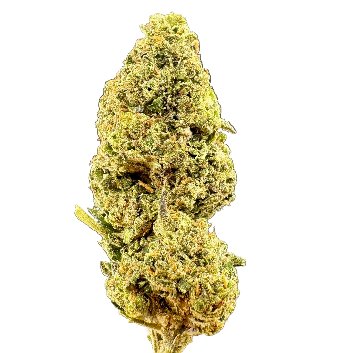 A close-up of a dried or cured cannabis bud with dense green and yellow-orange trichome coverage, set against a dark gray gradient background.
