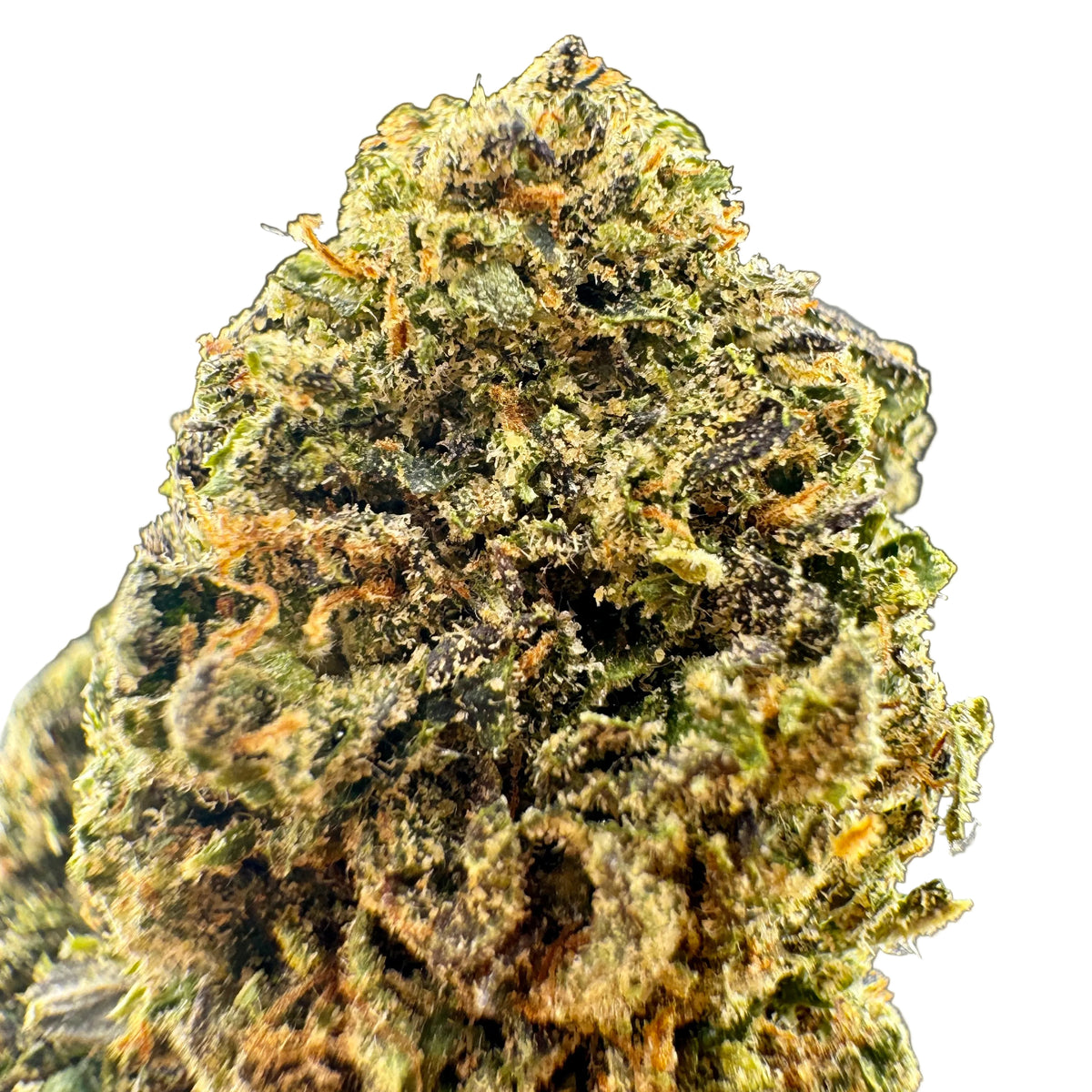 Gorilla Glue #4 THCA Top Shelf Flower | Premium Hybrid