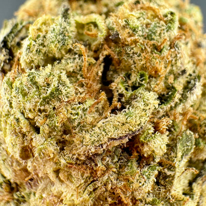 Panama Red THCA Flower | Top Shelf Sativa