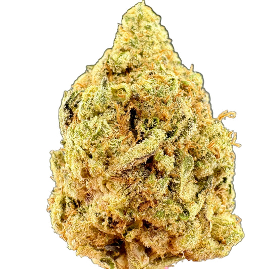 Panama Red THCA Flower | Top Shelf Sativa