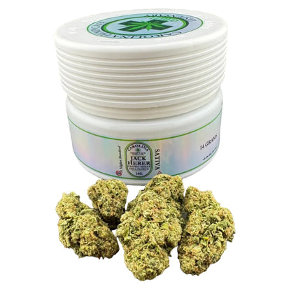 A white plastic jar labeled 'Jack Herber Sativa' with a green leaf logo, shown on a dark gray background with several green cannabis buds placed in front of it.
