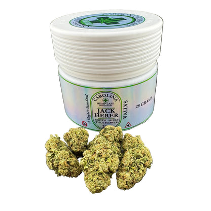 A white plastic jar of Carolina Health Care Jack Herer Sativa cover bells with green and tan dried flower buds displayed in front on a dark gray background.