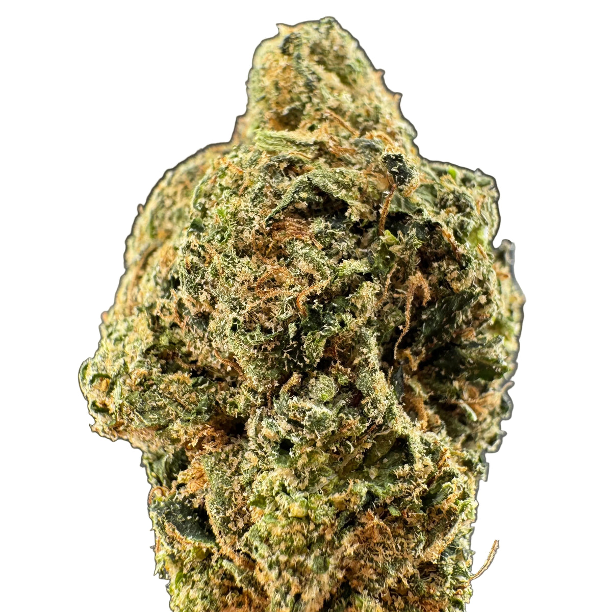 Columbian Gold Exotic THCA Flower | Premium Sativa