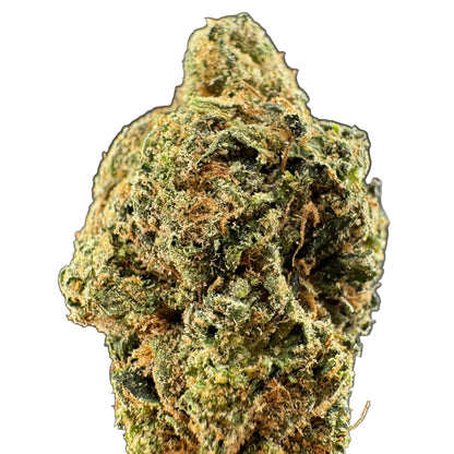 Columbian Gold Exotic THCA Flower | Premium Sativa