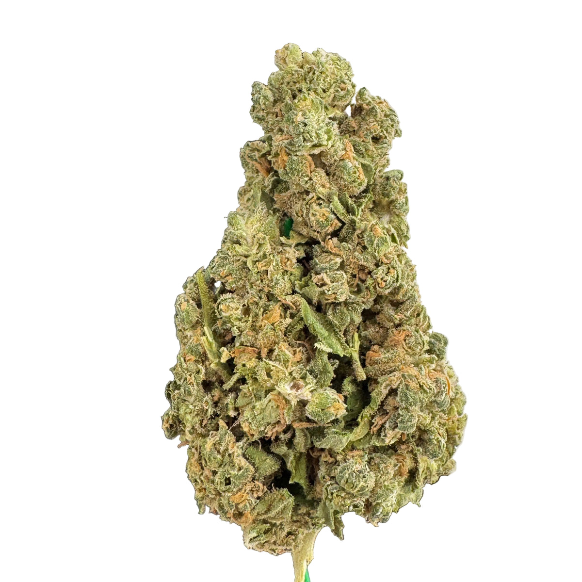 Alaskan Thunder Fuck Budget THCA Flower | Sativa