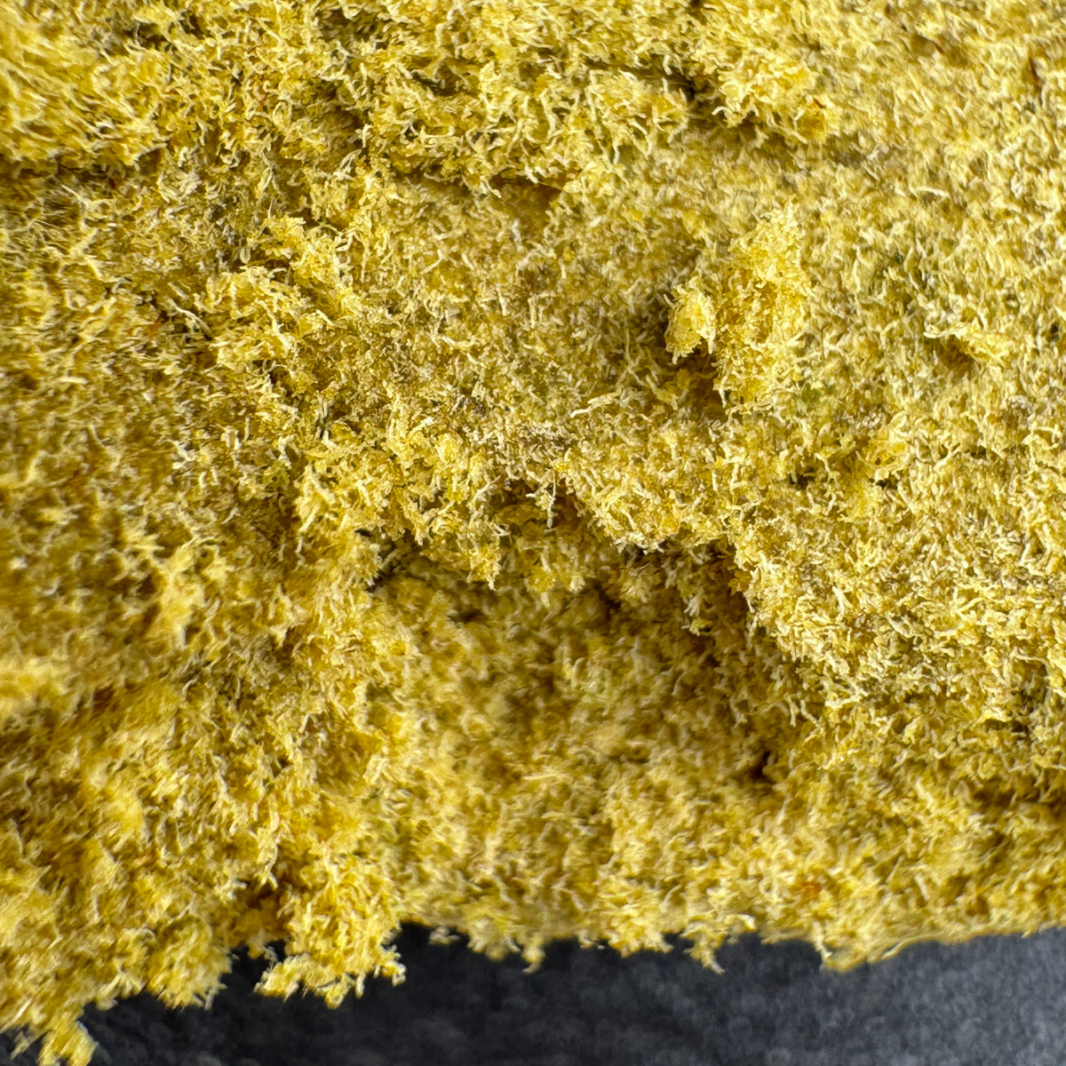 THCA Mousse Hash | Pure Tri-Cones | 40% THCA | Solvent-Free Premium Hash