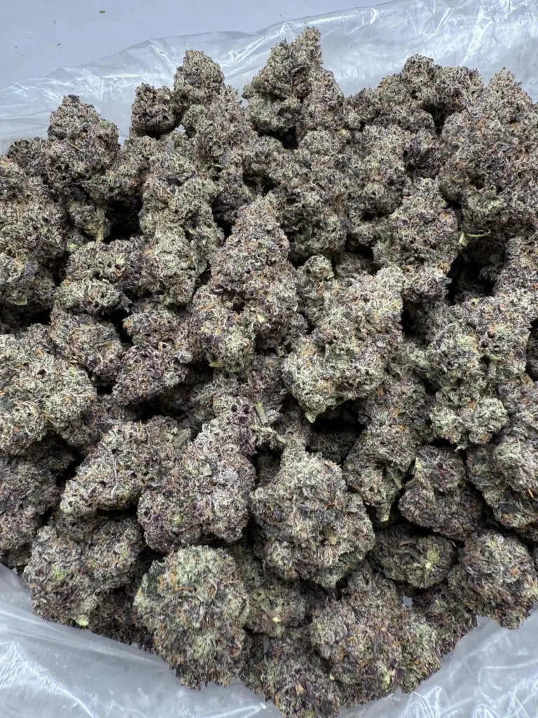 Bulk Wholesale THCA Flower | Exotic Collection | Multi-Strain Selection