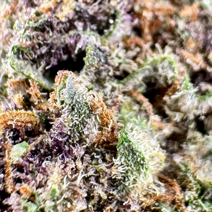 Purple Haze – 33.8% THCA | THCA Exotic Flower | Exotic Shelf Collection