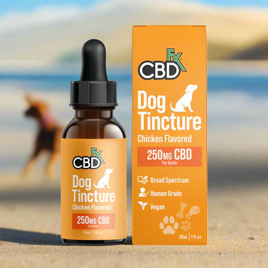 CBD Dog Tincture – Chicken Flavor